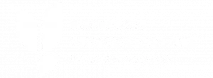 btf2022-logo